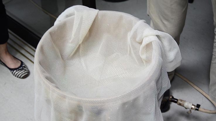 麹づくりワークショップ